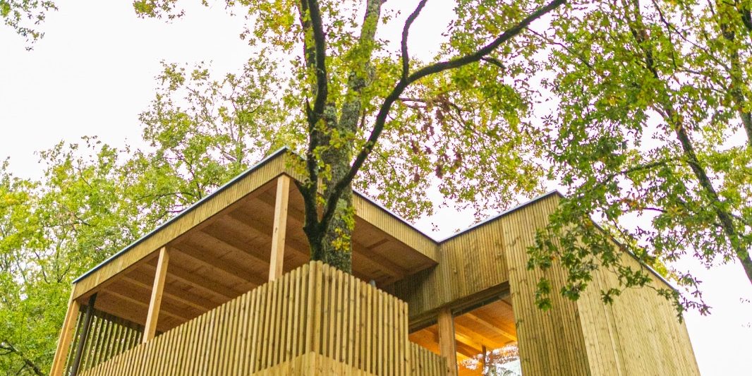 cabaña-carballo Vista exterior cabaña del carballo