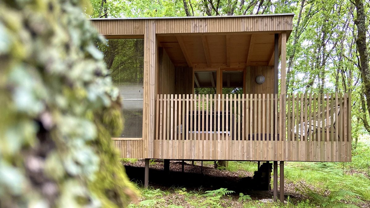 cabaña madera bosque maria manuela