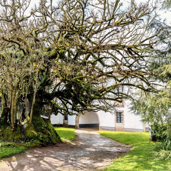 Jardines botánicos de Galicia: Pazo de Santa Cruz de Rivadulla