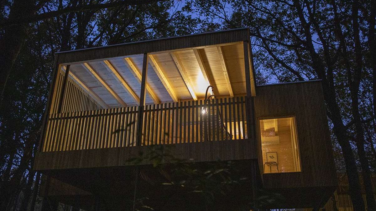 cabañitas bosque noche