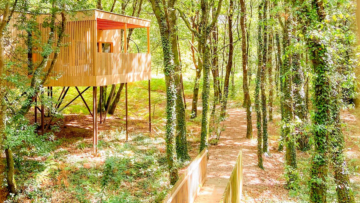 cabaña elevada bosque