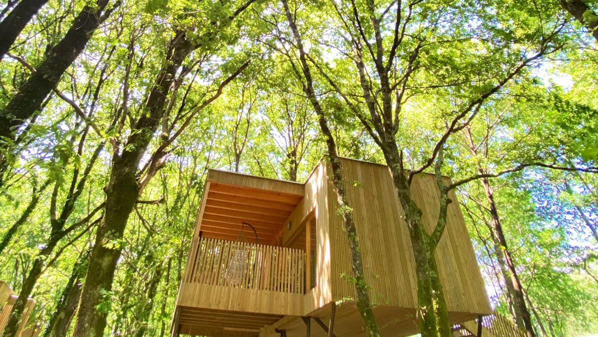 cabaña bosque madera